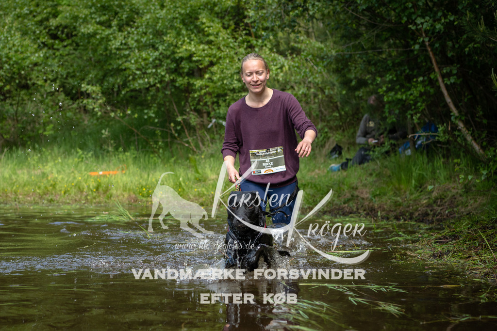 1225DKK992819 | kk-dogfotos
