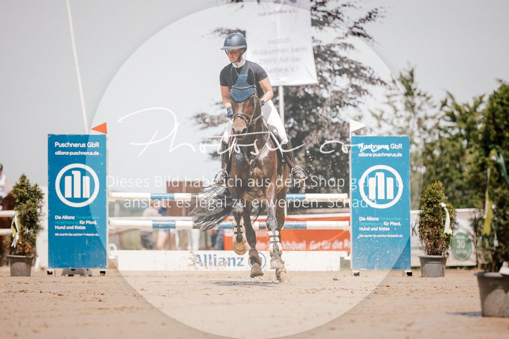 3I6A7785 | Stimmungsvolle Portraits und Reitsportfotografie im Ruhrgebiet und im Münsterland.

Pferdefotografie, Hundefotografie, Tierfotografie, Reportagen, Portraits von Tier und Mensch, Turnierfotografie in Bochum, Recklinghausen, Marl, Haltern am See, Dülmen.. - Realisiert mit Pictrs.com
