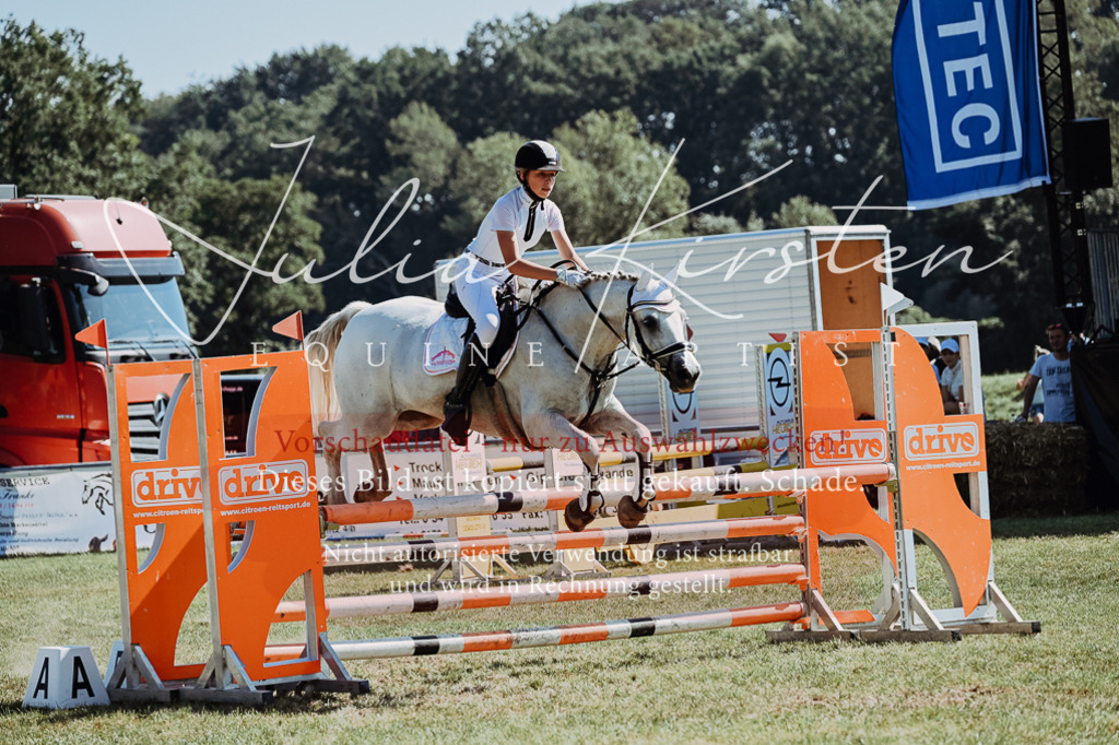 DSC_6085 | Pferde- und Turnierfotografie in Westsachsen. Pferdeportraits, Auftragszeichnungen und intuitive Kunst.