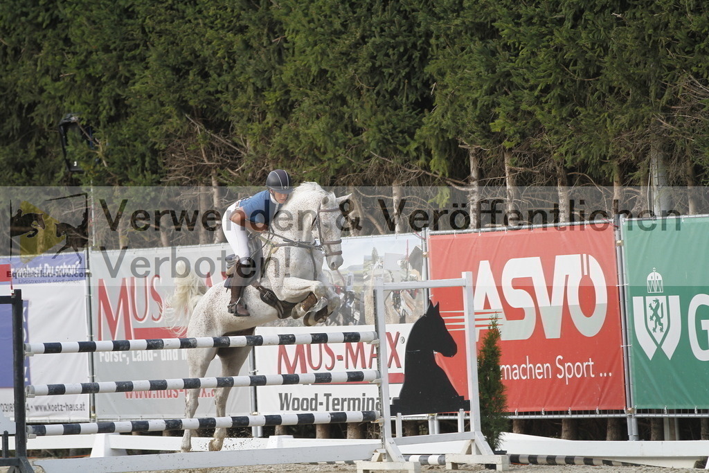 _MG_6598 | equestrian-live-com