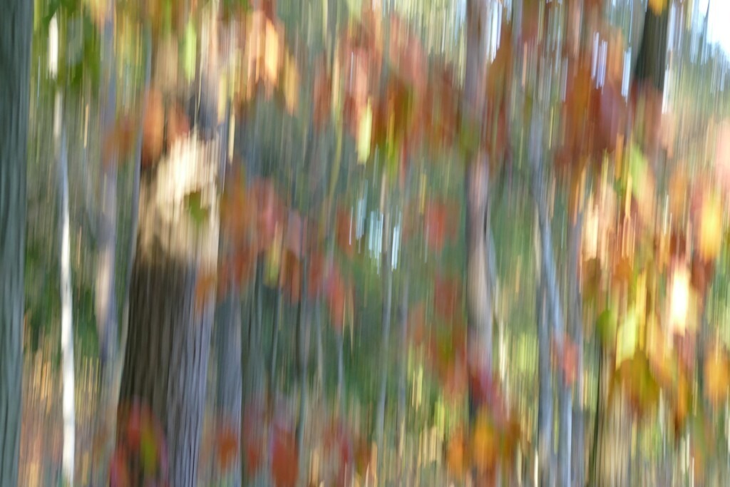 P4060237_a | Annaeherungen - Realisiert mit Pictrs.com