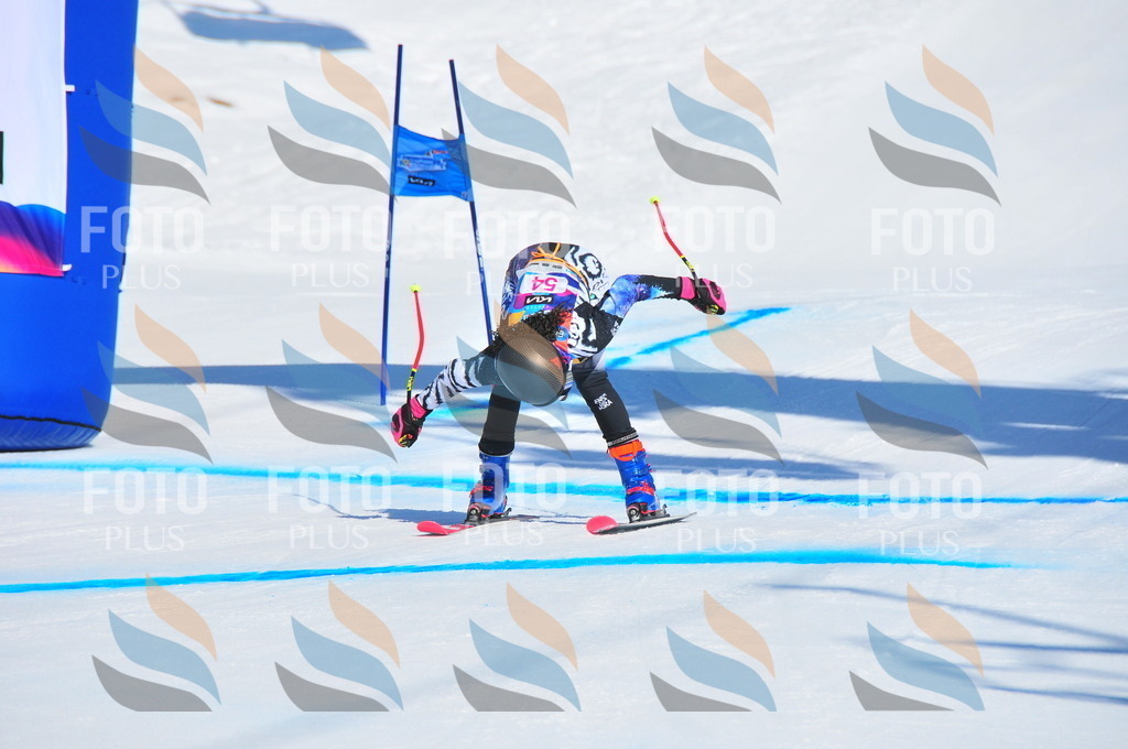 DSC_4125 | holidayphoto