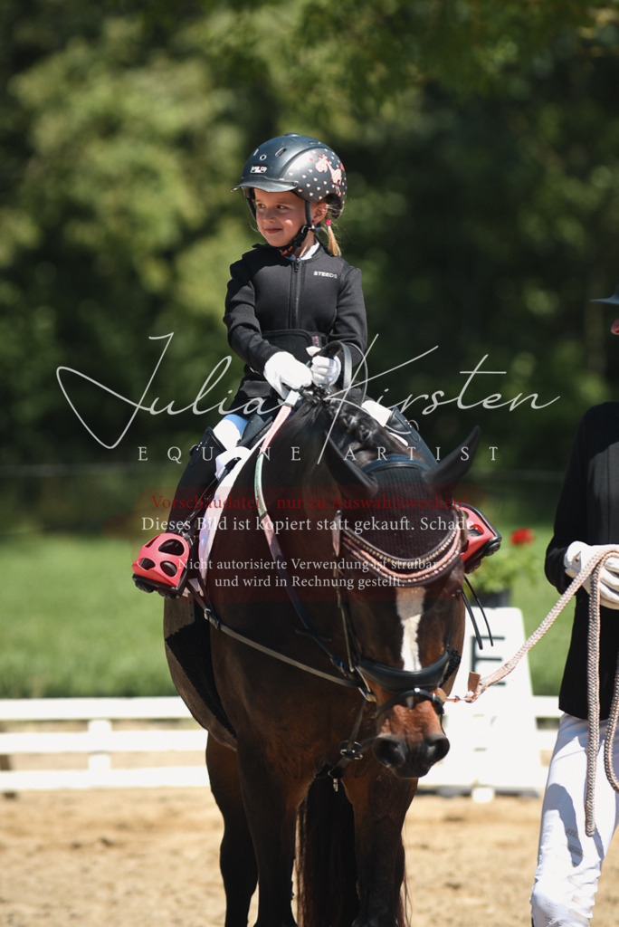 DSC_2095 | Pferde- und Turnierfotografie in Westsachsen. Pferdeportraits, Auftragszeichnungen und intuitive Kunst.