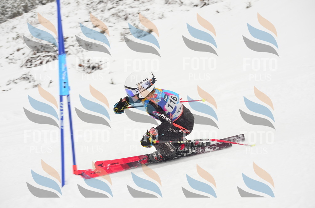 C1517 | holidayphoto