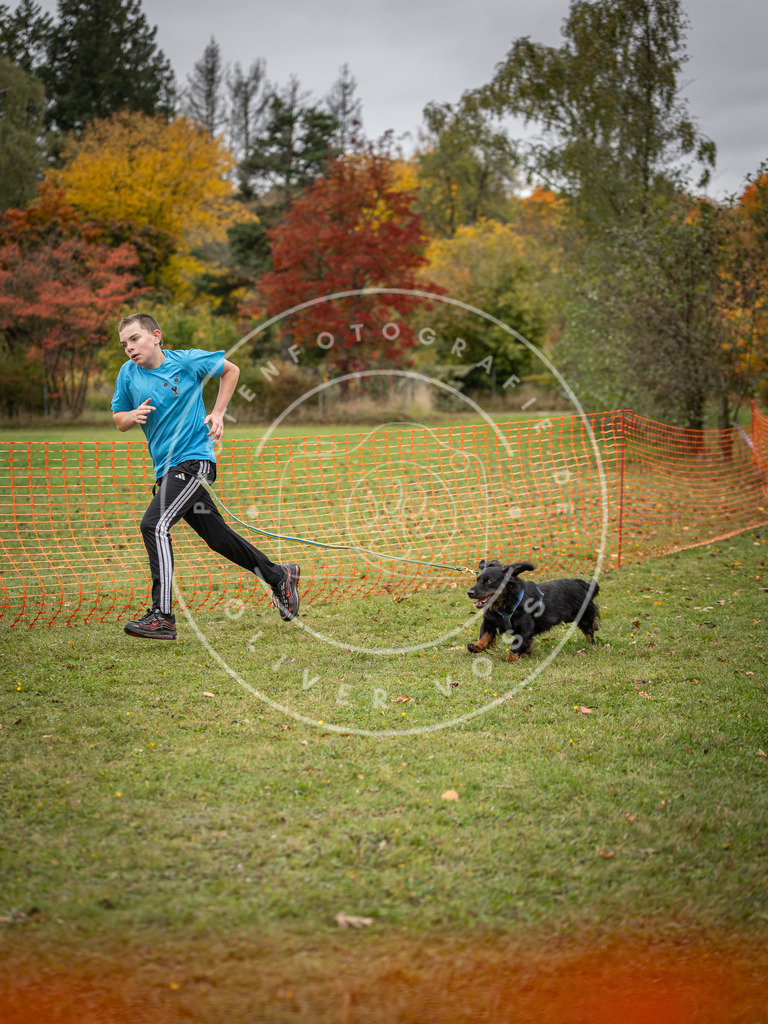 Pfotenfotografie_DV3A3602 | Hundefotografie, Tierfotograf, Pfotenfotografie, Fotoshooting Hund, Hunde Portrait, Hundesport, Hundeportraits, Heideshooting, Hunde, Sportfotograf, Hundefotograf, Turnierhundsport, THS,  - Realisiert mit Pictrs.com