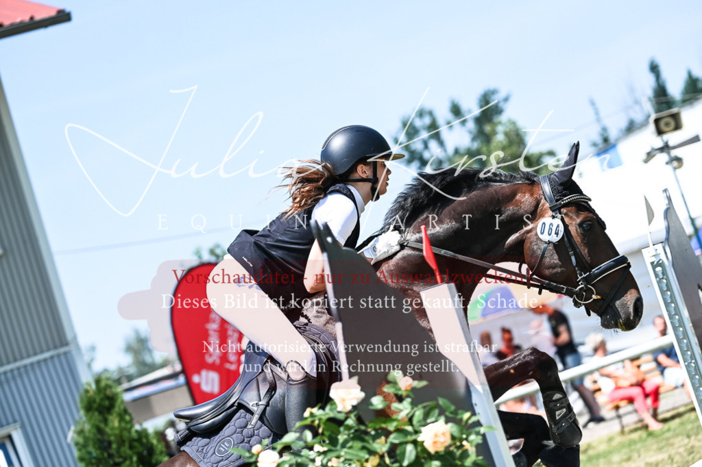DSC_9991 | Pferde- und Turnierfotografie in Westsachsen. Pferdeportraits, Auftragszeichnungen und intuitive Kunst.