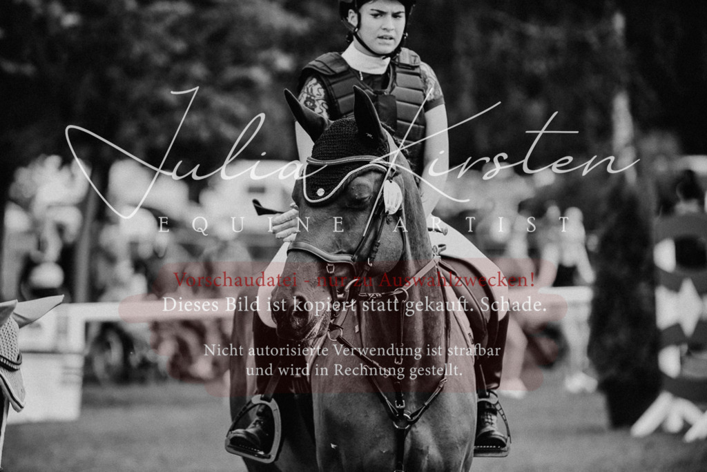 DSC_5719 | Pferde- und Turnierfotografie in Westsachsen. Pferdeportraits, Auftragszeichnungen und intuitive Kunst.