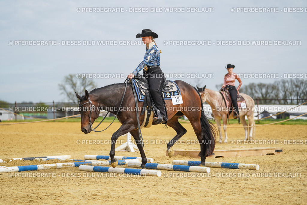 DSC03602 | Pferdegrafie