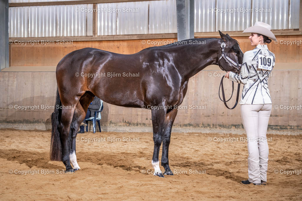 SBS09744 | BS-foto