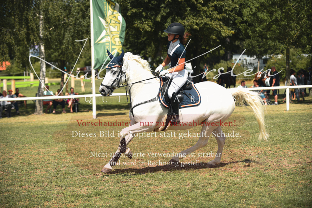 DSC_6750 | Pferde- und Turnierfotografie in Westsachsen. Pferdeportraits, Auftragszeichnungen und intuitive Kunst.