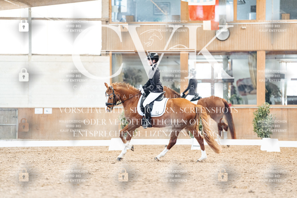 CK908923 | Turnierfotografie Pferdefotografie Trier Rheinland-Pfalz Pferdesport Reitsport Tierfotografie Sportfotografie Pferdevideo Pferdevideografie Equestrianvideography equestrianphotography  - Realisiert mit Pictrs.com