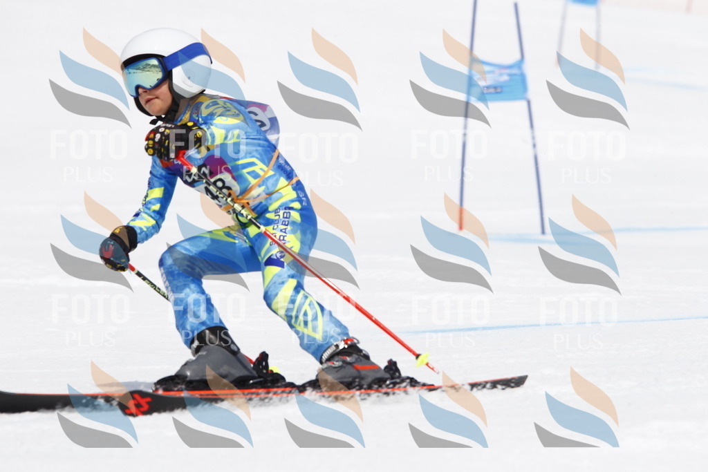 _U3G6279 | holidayphoto