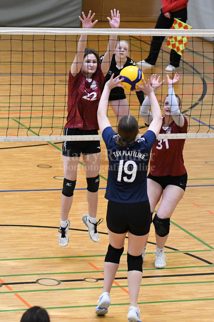 TSV Plattling Volleyball : VSG Passau/Fürstenzell | TSV Plattling IsarVolleys Damen - Realisiert mit Pictrs.com