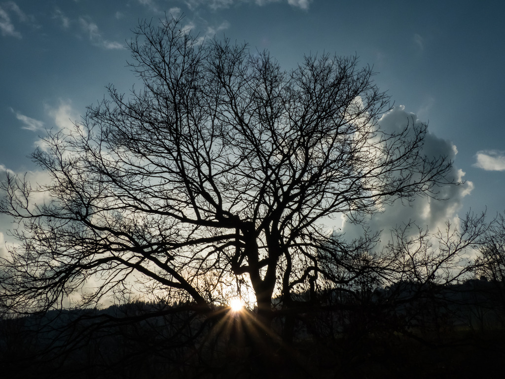 PSX_20230224_233836 | mtkfoto_ - Realisiert mit Pictrs.com