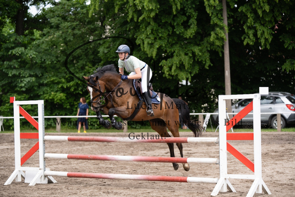 A7V04882 | Pferdefotograf