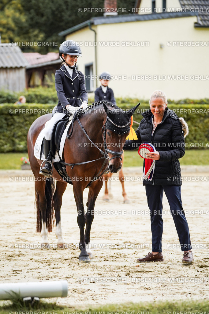 DSC05715 | Pferdegrafie