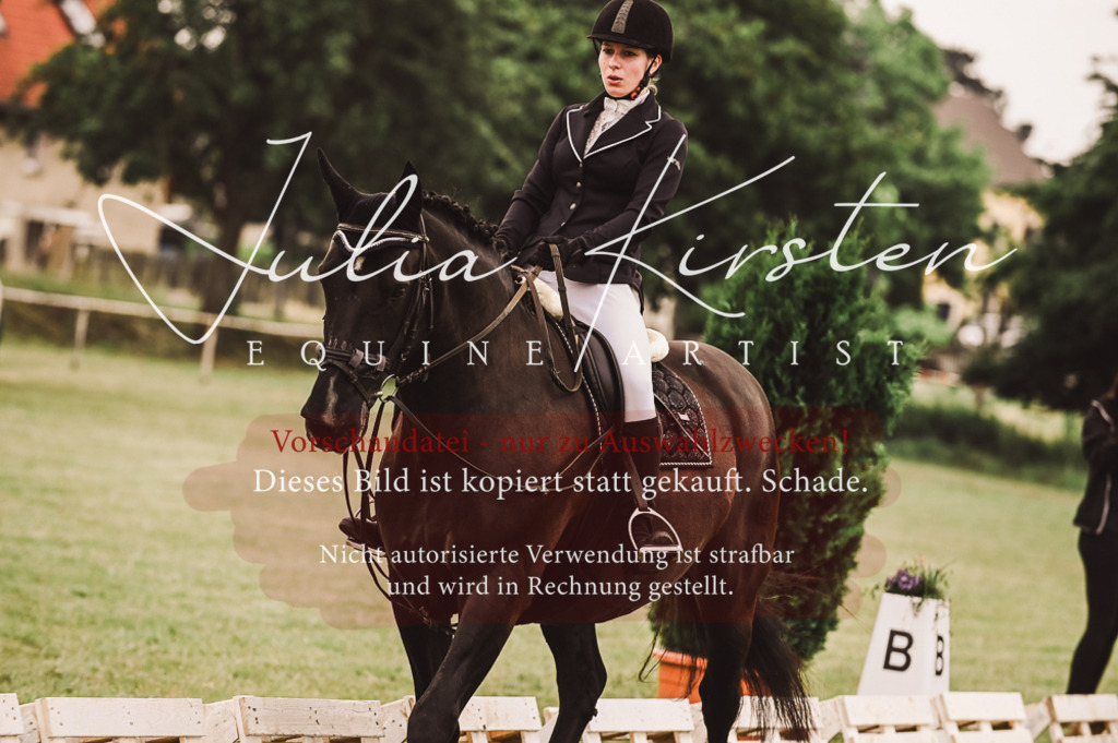 DSC_5009 | Pferde- und Turnierfotografie in Westsachsen. Pferdeportraits, Auftragszeichnungen und intuitive Kunst.