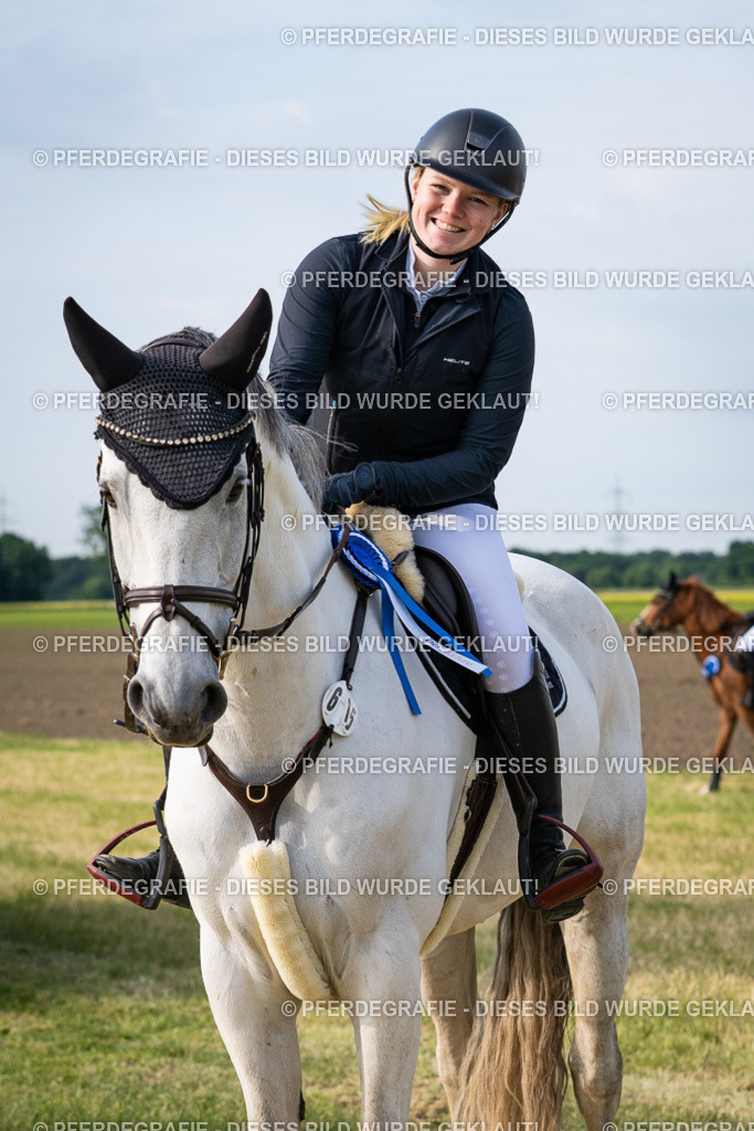 DSC03099 | Pferdegrafie