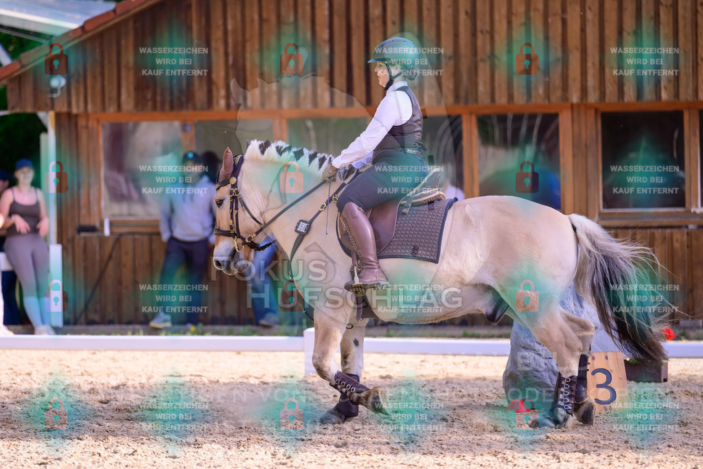 02052026-Giesenbach-03-Speedtrail-0217 | Fokus Hufschlag Fotografie - Realisiert mit Pictrs.com