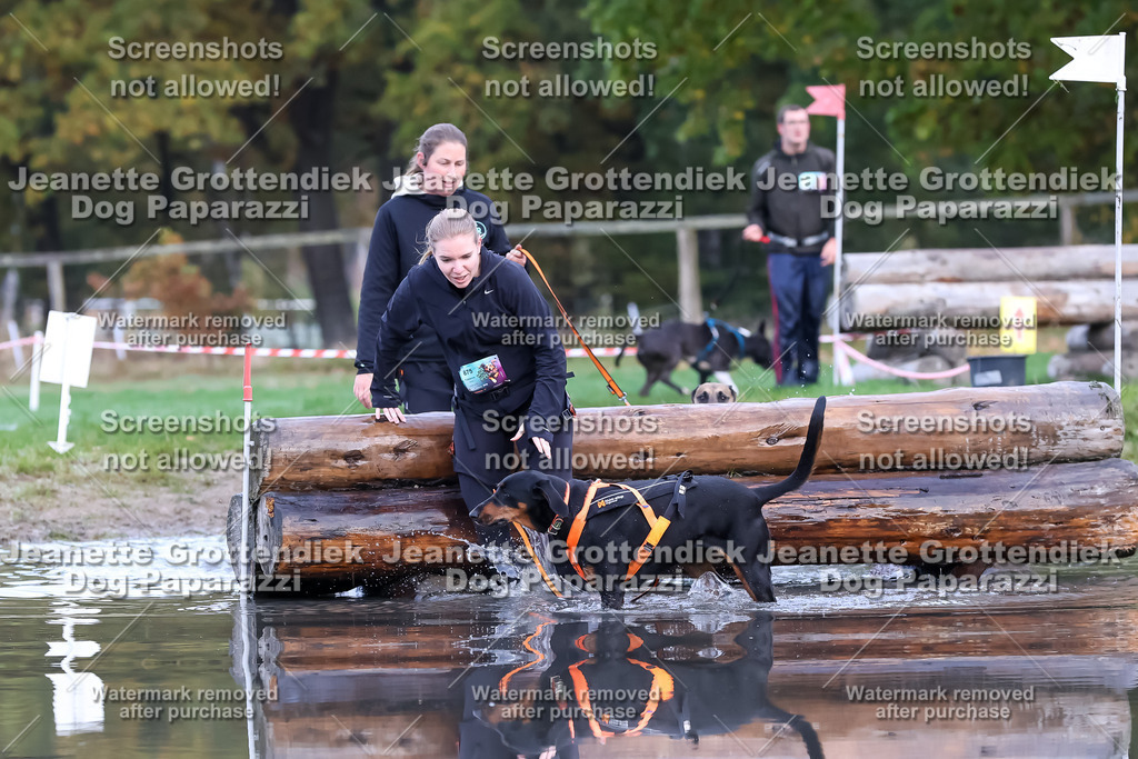 Dog Paparazzi - Strongdog 10-25-6571 | Dog Paparazzi Jeanette Grottendiek Fotografie & Videografie - Realisiert mit Pictrs.com