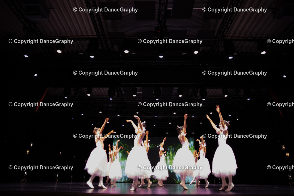 GPHY5652 | DanceGraphy - Realisiert mit Pictrs.com