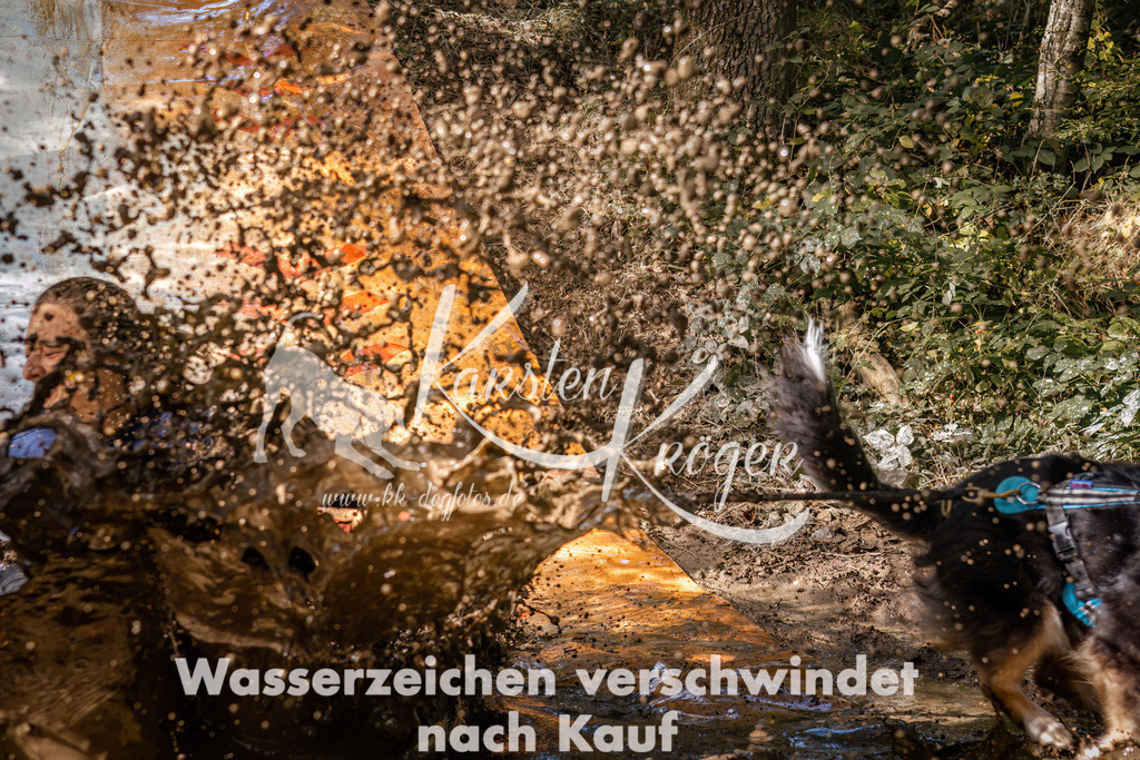 1351_ZZ93031 | kk-dogfotos