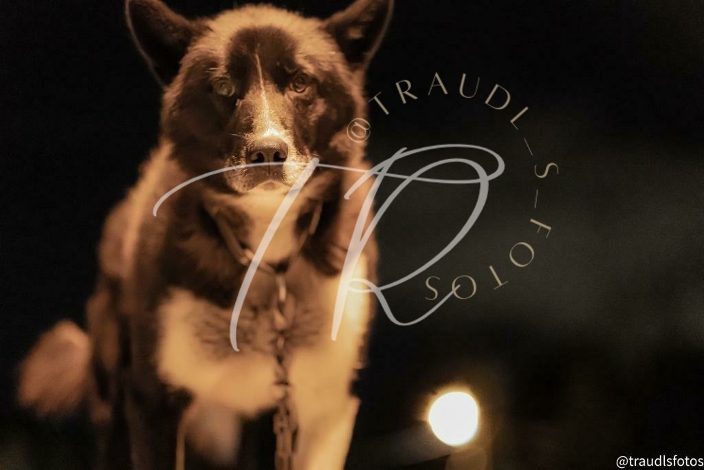 E18C801B-C6B2-4AB0-9454-DCEBC8D37222 | traudl_s_fotos