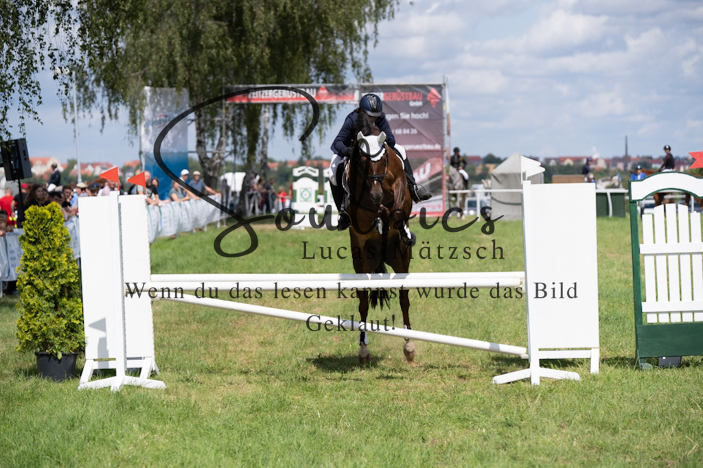 A7V04442 | Pferdefotograf