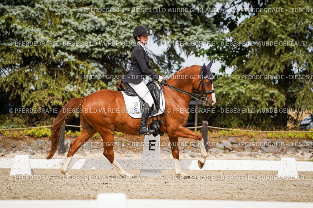 DSC06481 | Pferdegrafie