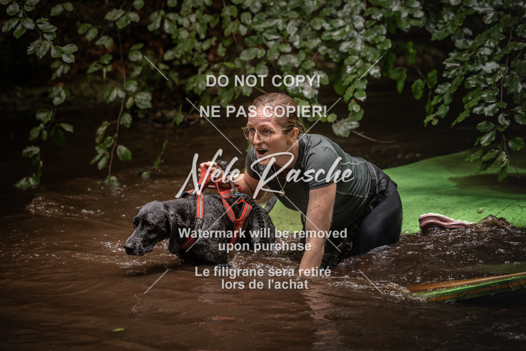 nelerasche_Wingst_Sa1330-1400_302 | nelerasche