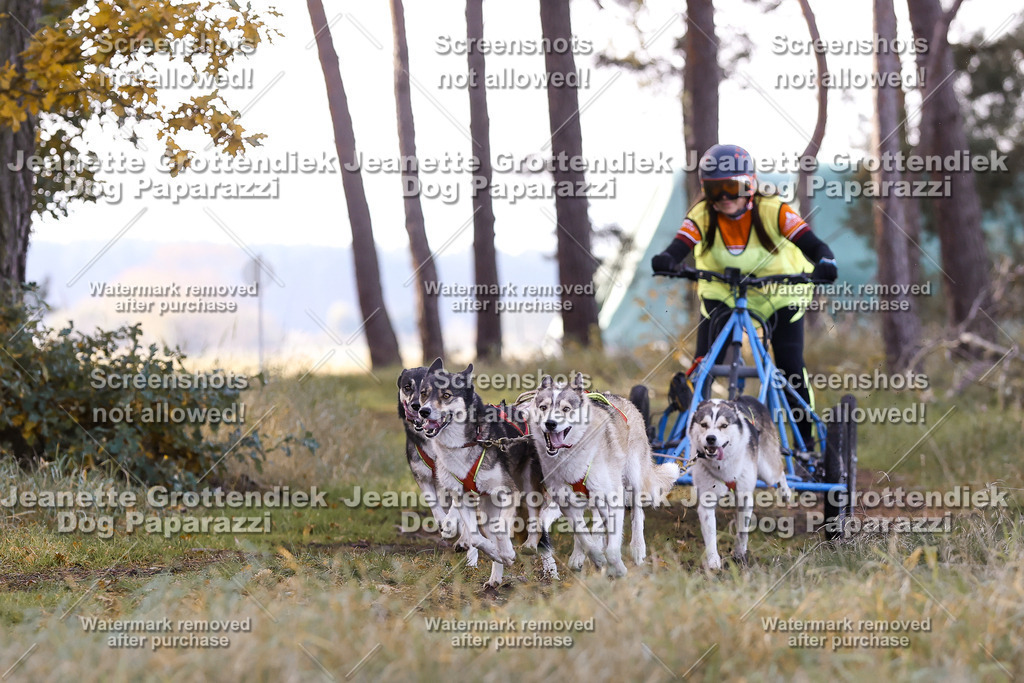 Dog Paparazzi - Elsholz 25 -38 | Dog Paparazzi Jeanette Grottendiek Fotografie & Videografie - Realisiert mit Pictrs.com