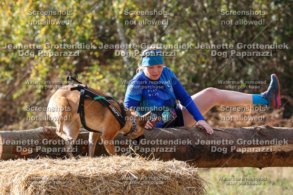 Dog Paparazzi - Strongdog 10-25-5787 | Dog Paparazzi Jeanette Grottendiek Fotografie & Videografie - Realisiert mit Pictrs.com