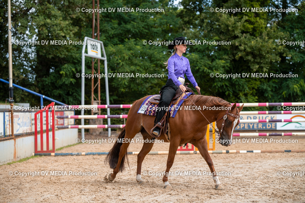 ZS3_9351 | dv-media-shop - Realisiert mit Pictrs.com