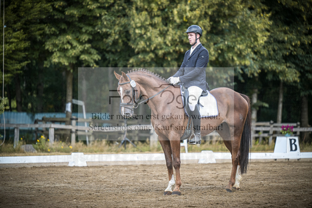 DOS_0554 | Entdecke hochwertige Reitturnierfotos von Foto Oger. Professionell, emotional und authentisch – jetzt Lieblingsmomente im Shop bestellen.Deutschlandweite Turnierfotografie. - Realisiert mit Pictrs.com
