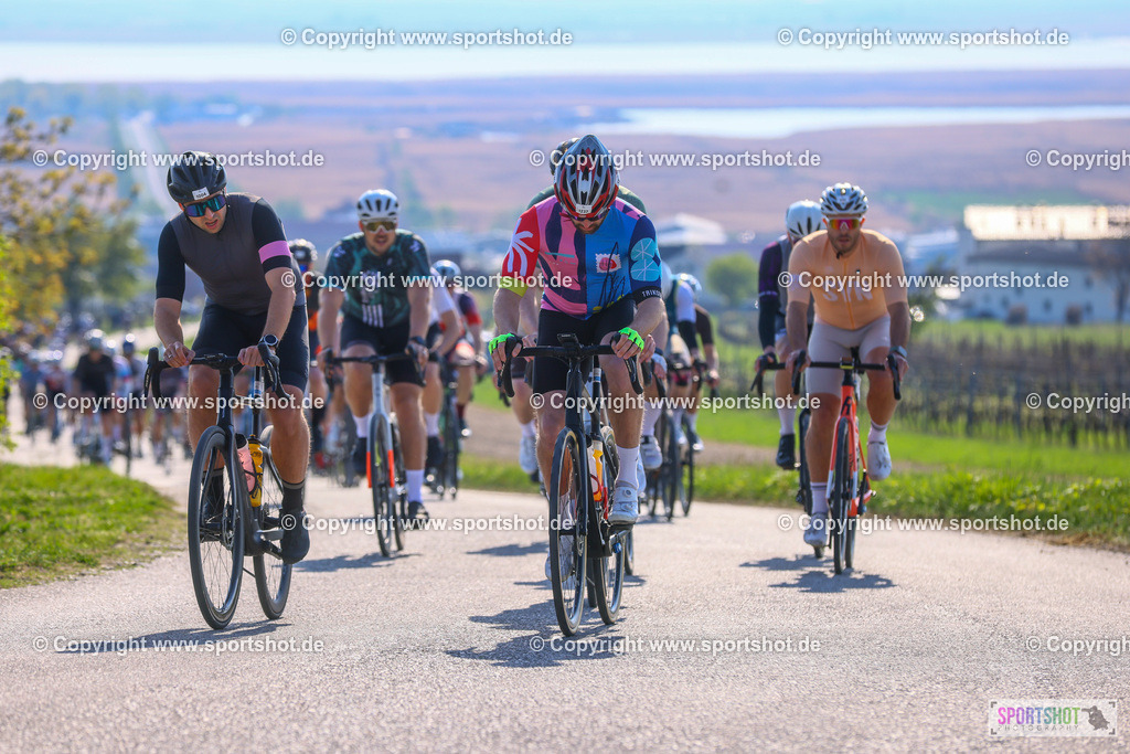 TRA_0139 | Neusiedlersee Radmarathon 2026@sportshot_your_pictrs #yourpictures#roadtowm2029 #nrm #neusiedlerseeradmarathon #neusiedlersee #neusiedlerseetourismus #burgenland #mörbisch #nrm26 #burgenlandtourismus #voglundco #poweredbyburgenlandtourismus #radsport #rad #marathon #ucigranfondo #visitburgenland #ucigranfondoworldseries