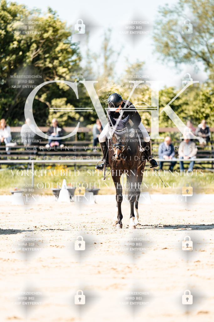 CK905108 | Turnierfotografie Pferdefotografie Trier Rheinland-Pfalz Pferdesport Reitsport Tierfotografie Sportfotografie Pferdevideo Pferdevideografie Equestrianvideography equestrianphotography  - Realisiert mit Pictrs.com