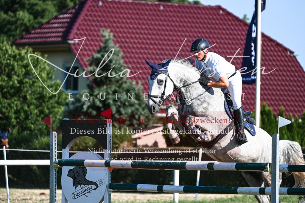 DSC_2799 | Pferde- und Turnierfotografie in Westsachsen. Pferdeportraits, Auftragszeichnungen und intuitive Kunst.