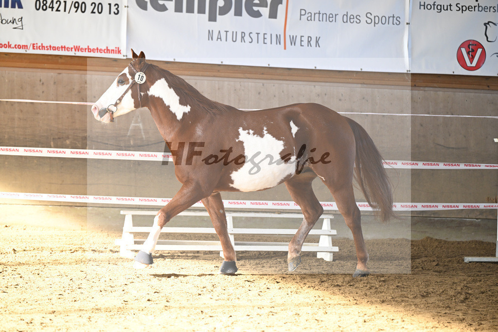 Kat-Nr. 10 ARH Like One Marvel v. One Gun_Reicherzer_49250386 | hf-fotografie - Realisiert mit Pictrs.com