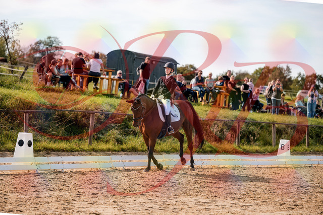 2026_10_03_Siefer-Hof_131049_Z63_74299685 | Professionelle Reitsport-, Turnier- und Eventfotografie von Robert Broda. Galerien mit ausgewählten und bearbeiteten Bildern direkt online ansehen und bestellen.