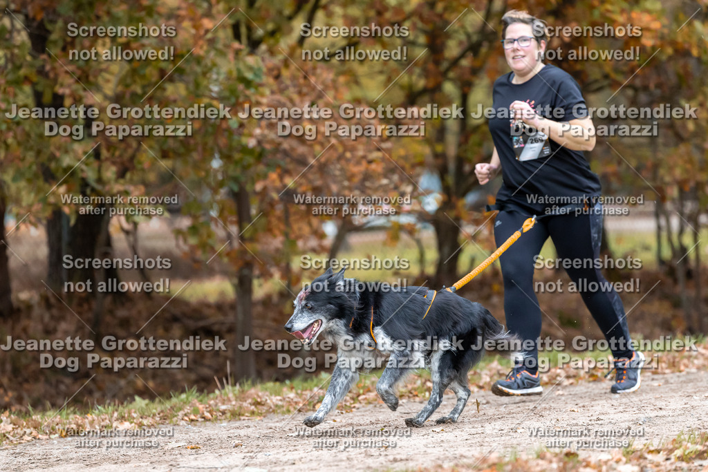 Dog Paparazzi - SD CaniX Championship 2025-668 | Dog Paparazzi Jeanette Grottendiek Fotografie & Videografie - Realisiert mit Pictrs.com