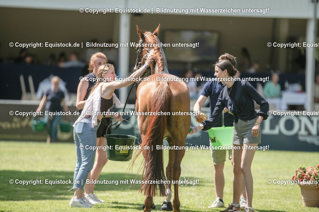 20230527_27_CCI4_Gelände_0197 | equistock