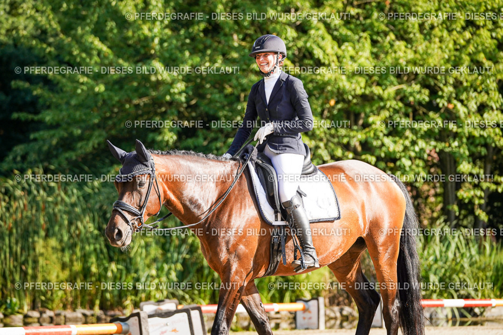 DSC08997 | Pferdegrafie