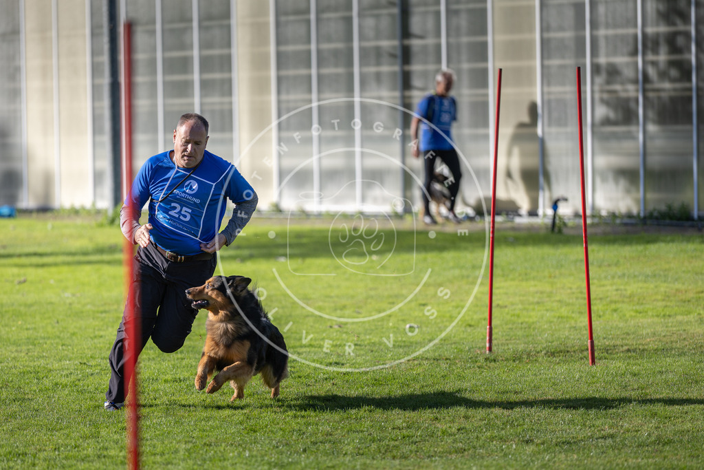 Pfotenfotografie.de_DV3A3318 | Hundefotografie, Tierfotograf, Pfotenfotografie, Fotoshooting Hund, Hunde Portrait, Hundesport, Hundeportraits, Heideshooting, Hunde, Sportfotograf, Hundefotograf, Turnierhundsport, THS, canicross - Realisiert mit Pictrs.com