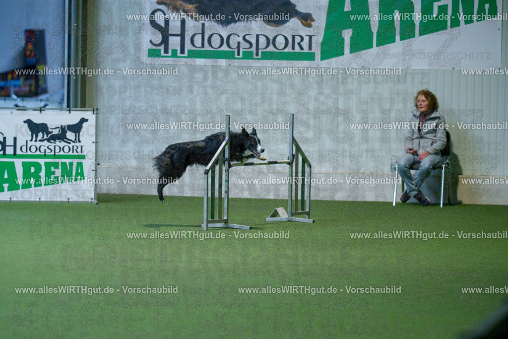 @allesWIRTHgut_Tierfotografie - www.allesWIRTHgut.de - 2604260810-7R506776 | Professionelle Tierfotografie in Mönchengladbach von Daniel Wirth (allesWIRTHgut). Liebevolle & natürliche Bilder von Hunden & Katzen für unvergessliche Erinnerungen.
