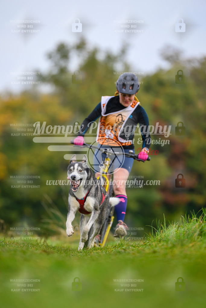 MompixPhotography_CDLBDB2025_DI_DS-70 | PayLife