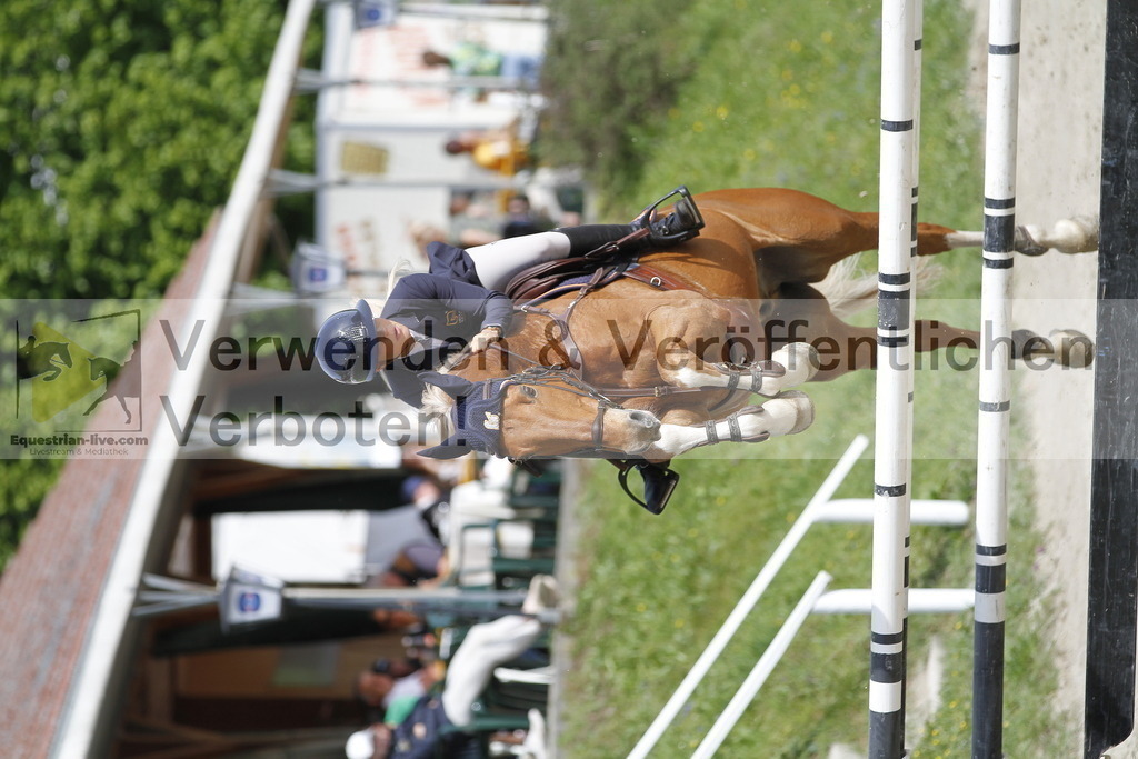 _MG_8780 | equestrian-live-com