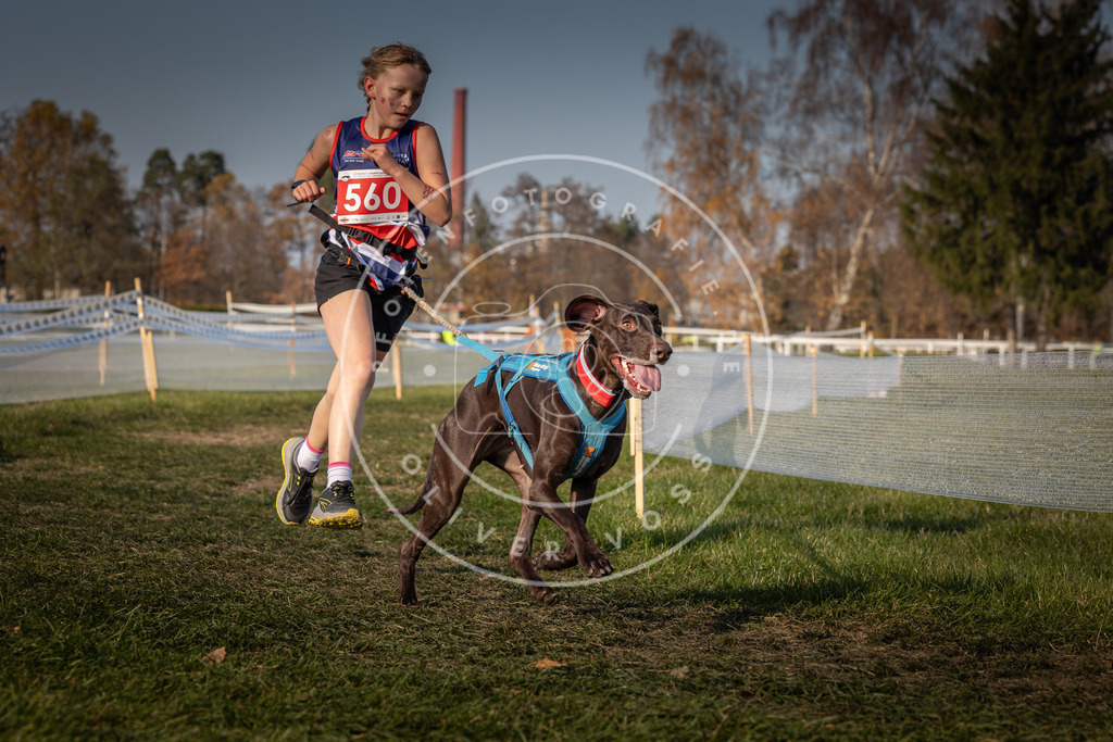 CaniXpix_0L8A9283 | Hundefotografie, Tierfotograf, Pfotenfotografie, Fotoshooting Hund, Hunde Portrait, Hundesport, Hundeportraits, Heideshooting, Hunde, Sportfotograf, Hundefotograf, Turnierhundsport, THS,  - Realisiert mit Pictrs.com