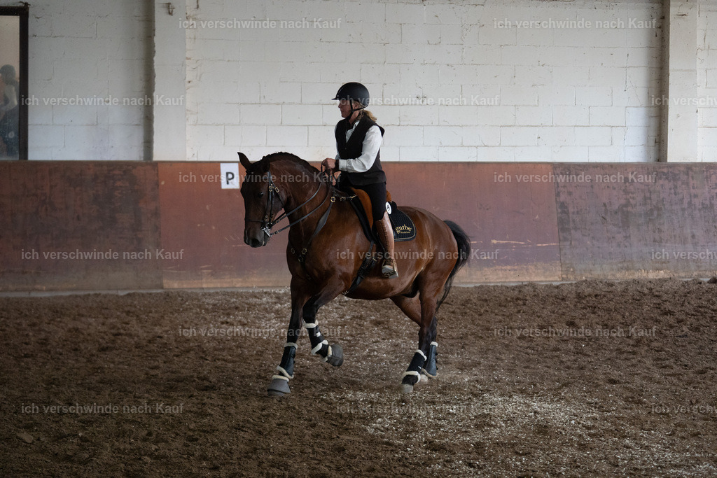 WM_COW_97_SinaFilmArt_IN04738 | working equitationturnier fotograf videograf stoibphotography marixx film working equitation deutschland reitsport turnierfotografie eventfotografie equestrian events