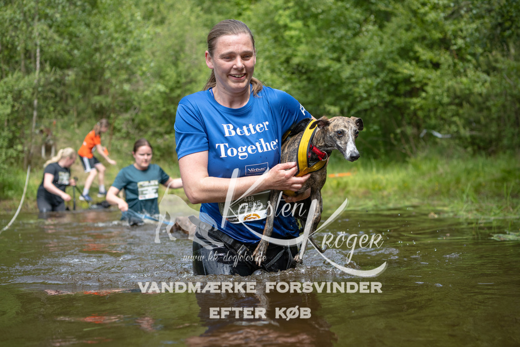 1121DKK994997 | kk-dogfotos