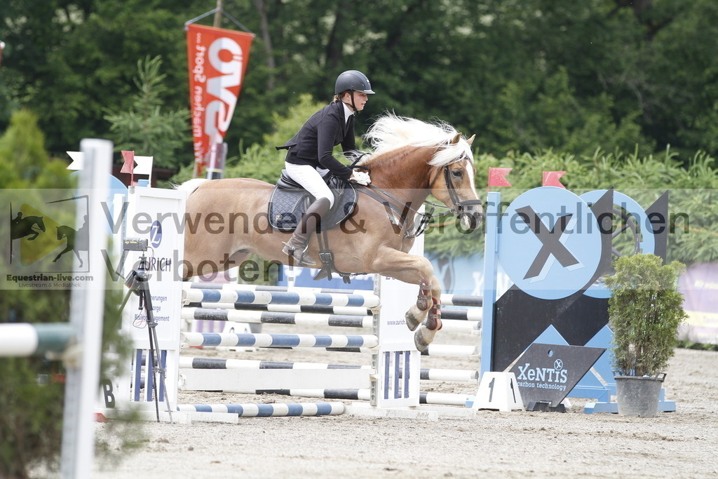 _MG_6018 | equestrian-live-com